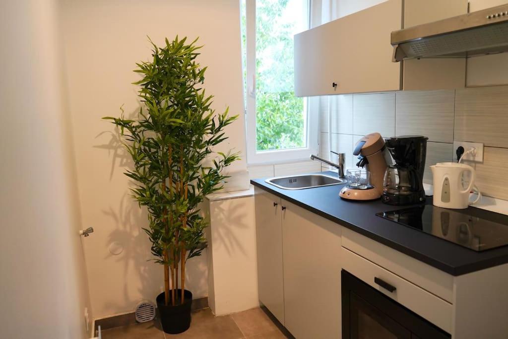 Rm-1 - Appartement F2 Au 1Er Etage Pour 1-3 Pers Miluza Zewnętrze zdjęcie